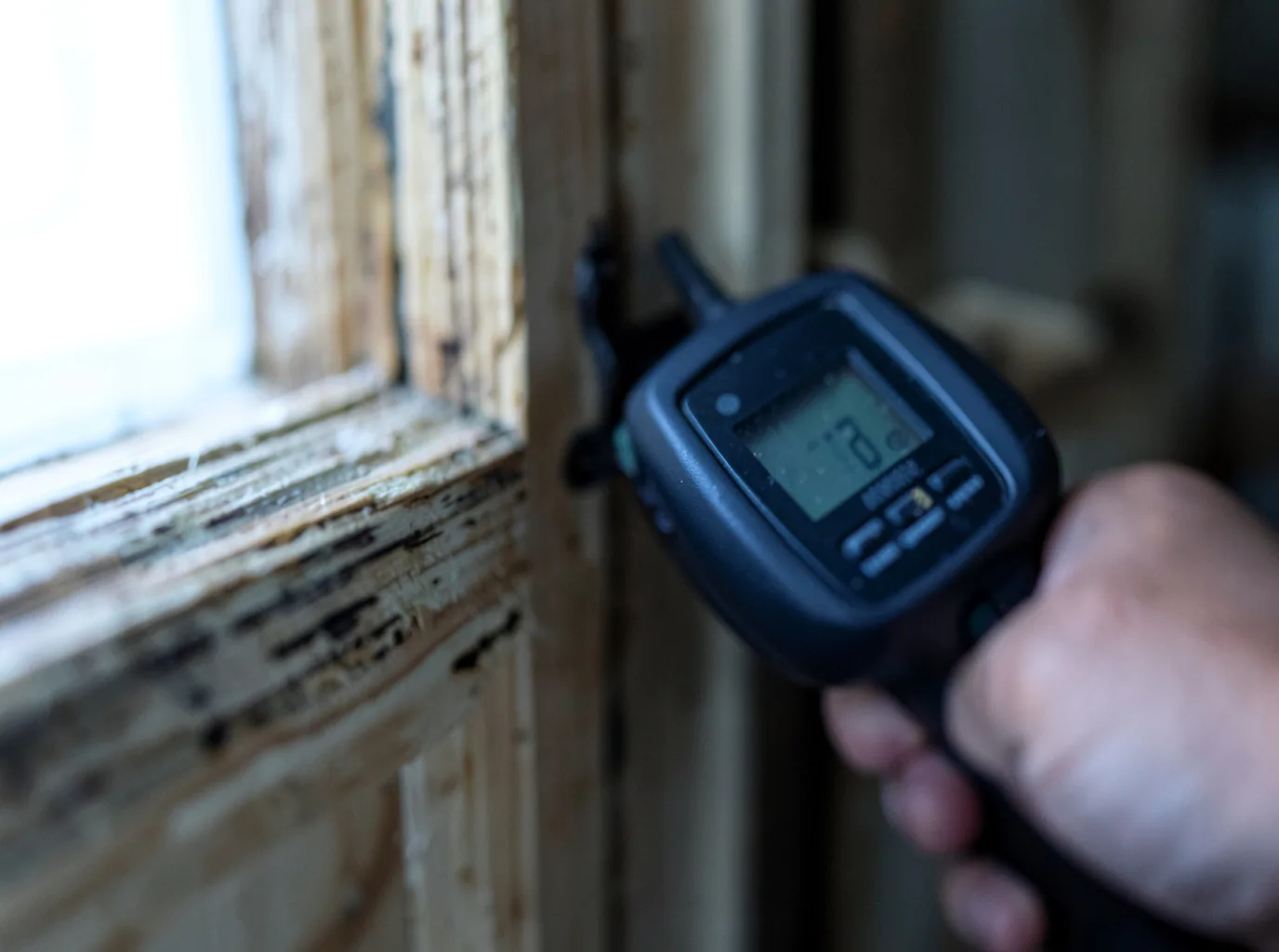Moisture Inspection And Documentation in Sharpsburg, GA